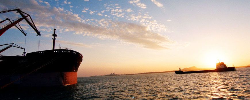 浙江省百強企業榜單出爐！萌恒榮列榜單